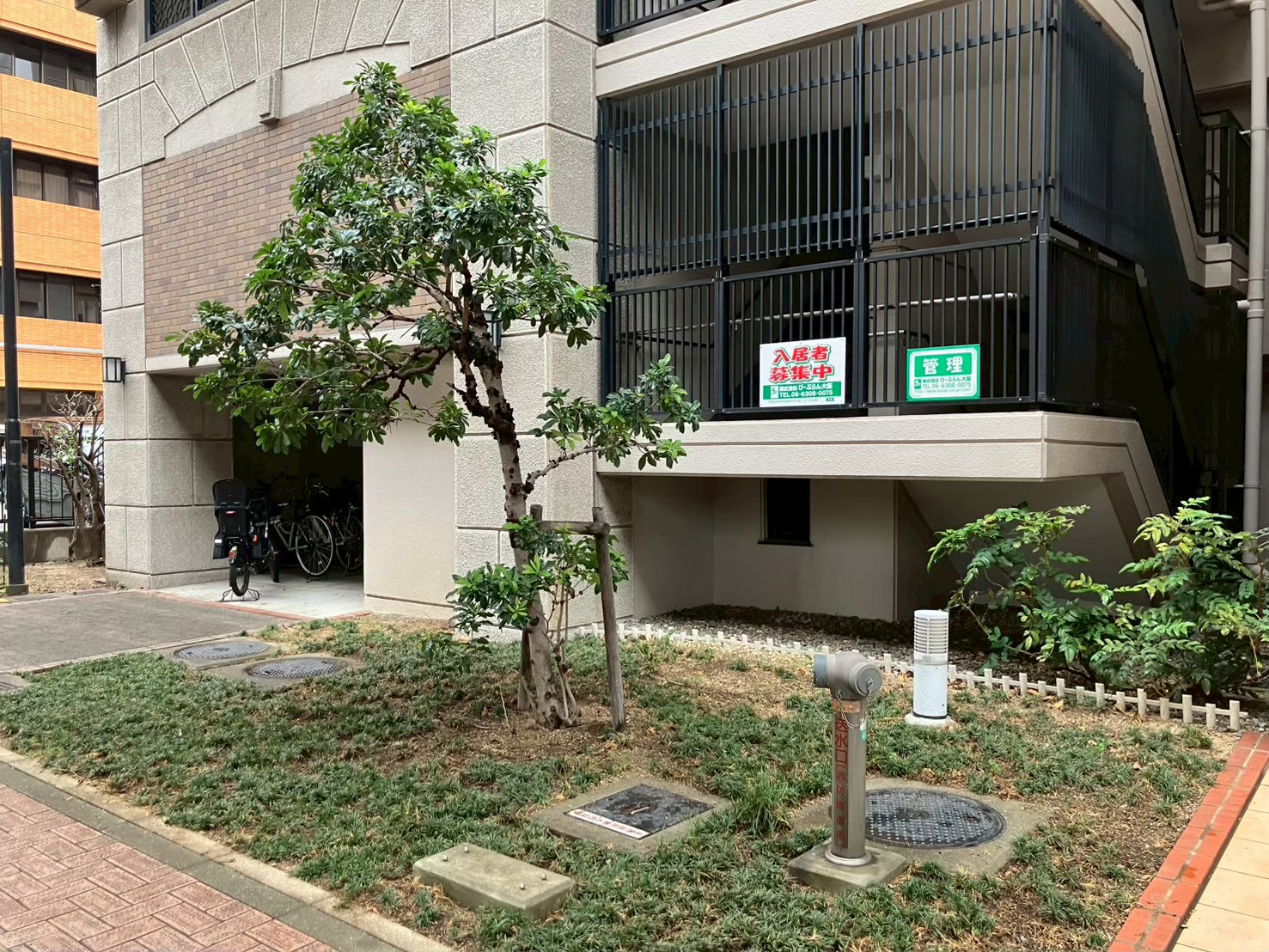 Bマンション 植栽工事