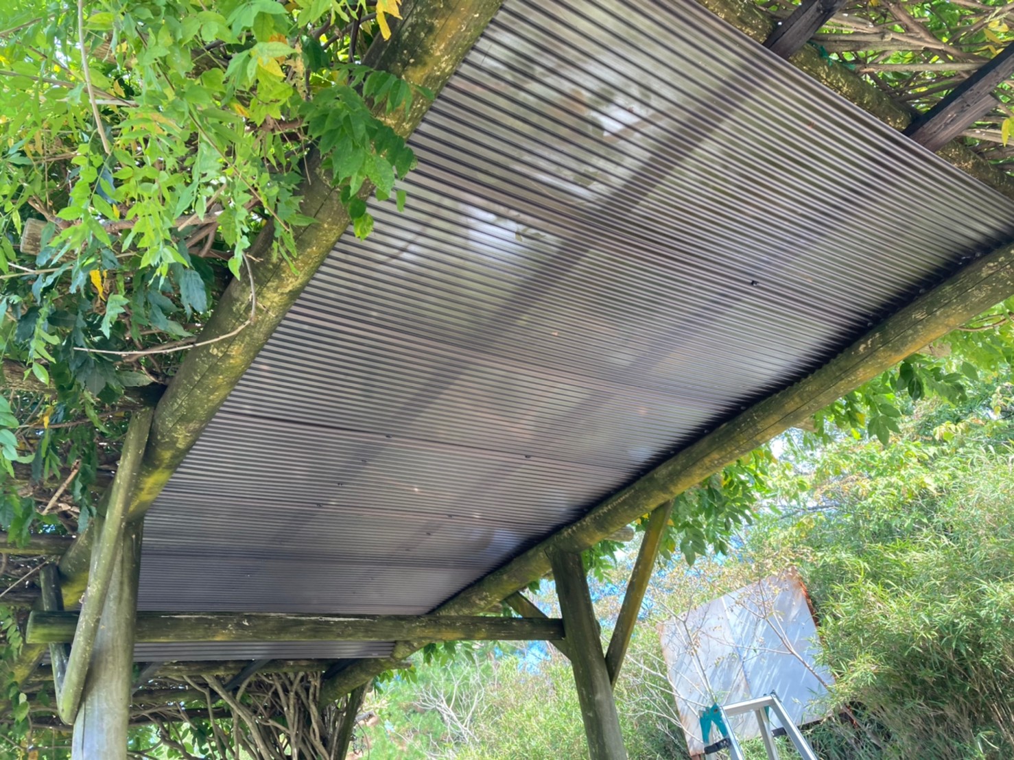 K大学 喫煙所 毛虫防止屋根 設置工事